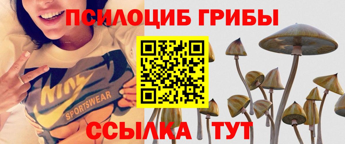 Галлюциногенные грибы ЛСД  Вход с VPN  Уссурийск 